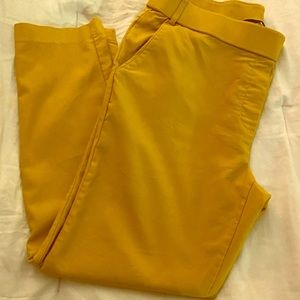 Woman’s Ankle Mustard Slacks
